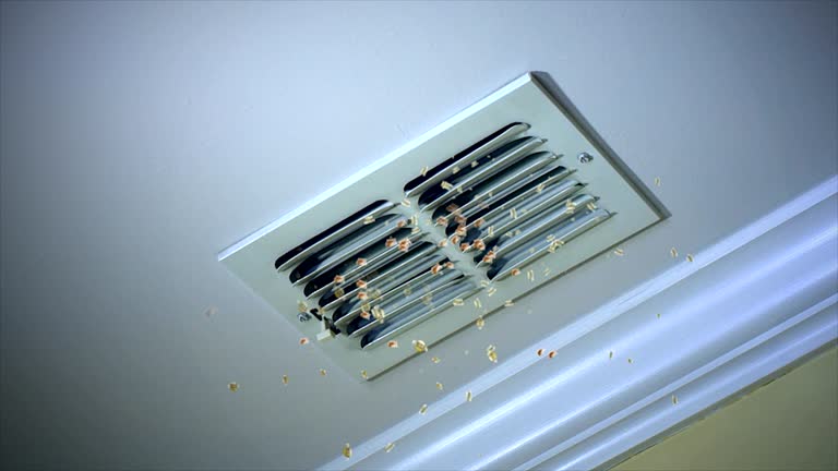 Best Home Air Vent Cleaning  in Marienville, PA