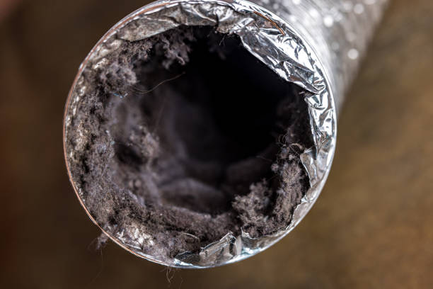 Best Air Duct Cleaning Near Me  in Marienville, PA